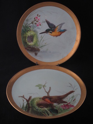 A 19th Century Minton porcelain tazza with turquoise and gilt banding decorated a bird, base impressed Minton together with a  matching plate 9 1/2"