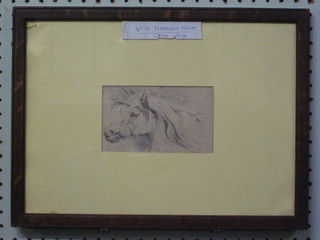 Pencil drawing, head and shoulders portrait of a Horse, marked Weirharrison William, the reverse framed with 1 other of a Pug  marked R H Moore, 3 1/" x 6"