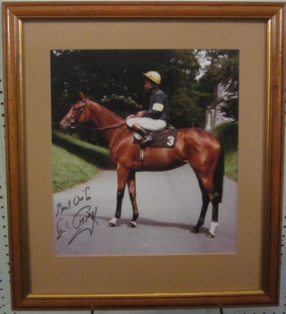 A colour photograph of Lester Piggott on a bay race horse at  Arundel Park, signed Best Wishes Lester Piggott 12" x 11"