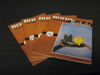 Various editions of Birds Monthly Illustrated