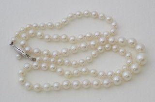 A string of cultured pearls