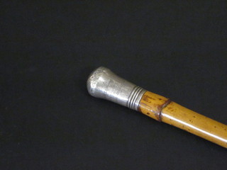 A Malacca cane