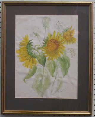 Pettred?, pastel drawing "Study of a Sunflower" 12" x 9"  indistinctly signed