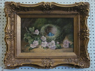 Oil on canvas, still life study "Birds Nest" monogrammed C T B,  7" x 11", contained in a gilt frame