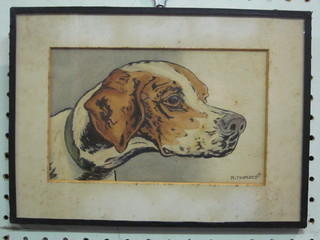 M Thomas, watercolour, head and shoulders portrait "Fox  Hound" signed and dated 1932 5" x 8"