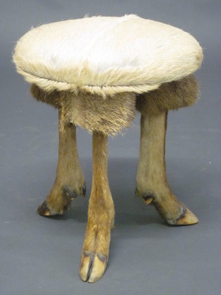 A circular stool formed from antelope's feet
