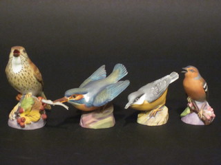 4 Royal Worcester porcelain figures of birds, Thrush 3234, Kingfisher 3225, Nut Hatch 3334 and Chaffinch 3240 2"