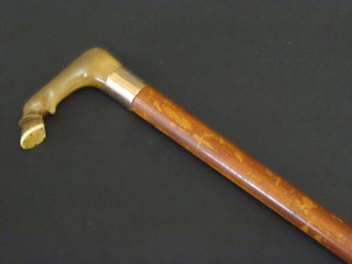 A Malacca cane with gold band and carved horn handle in the  form of a horses hoof