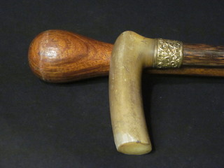 A bamboo cane with horn handle and a hardwood cane