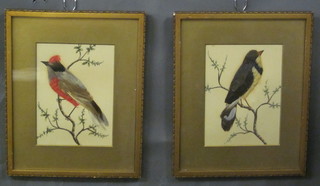 2 Victorian birds feather pictures of birds 8" x 6"