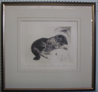 A monochrome engraving "Study of a Cat" 9" x 11"