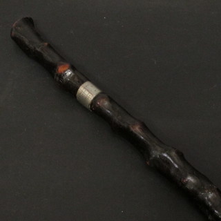 A wooden walking stick with white metal band marked Dr. R  Crothers Brighton