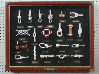 A display board of various knots 17" x 22"