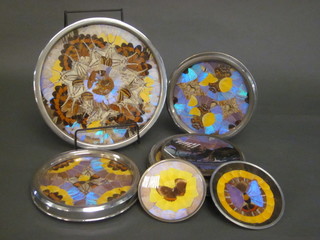 A circular tray with butterfly wing decoration 12" and 6 other  butterfly trays