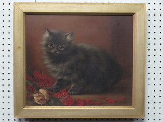 Ainslie, oil on canvas "Study of Kitten" 11" x 13"