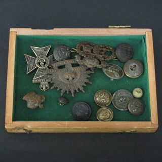 A Kings Royal Rifle Corps cap badge, an Argyle and Southern Highlanders collar dog, Australian Forces cap badge, various  buttons