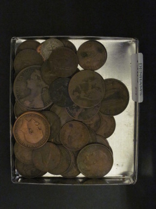 A small collection of coins