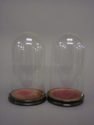 A pair of glass domes 11"