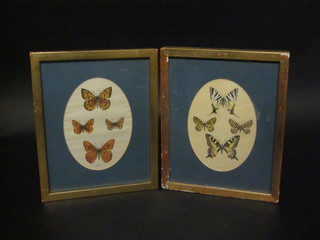 A pair of coloured prints "Butterflies" 7" oval