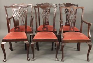 A harlequin set of 6 Chippendale style mahogany dining chairs with pierced slat backs, - 2 carvers, 4 standard