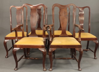 A set of 6 Queen Anne style slat back dining chairs with  upholstered drop in seats - 2 carvers, 4 standard, raised on  cabriole supports with H framed stretcher