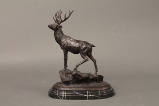 A bronze figure of a standing stag, the base marked Mene, raised  on an oval black marble base 17"