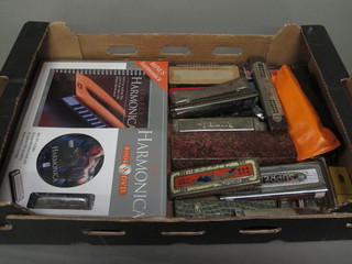 A box containing a collection of harmonicas
