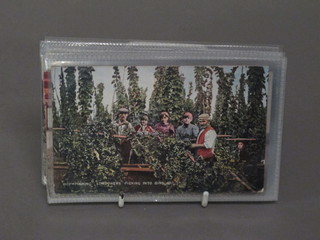 A collection of postcards of hop picking