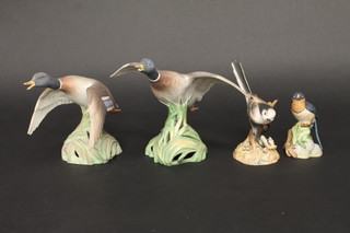 A Royal Crown Derby figure of a Long Tailed Tit 6", a Spode  figure of a Barn Swallow 4", a pair of Spode figures of Mallards  in flight 8", 1 with beak f,