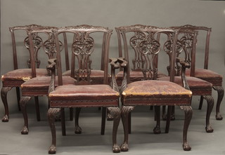 A handsome set of 8 Chippendale style mahogany dining chairs with pierced vase shaped slat backs, raised on cabriole supports -   2 carvers, 6 standard,  ILLUSTRATED