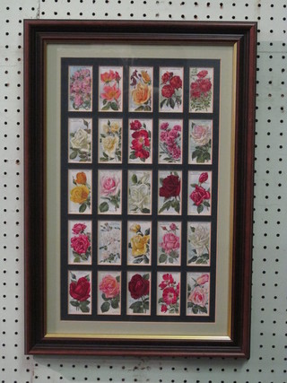 2 sets of 25 Wills Cigarette cards - Roses, second issue 1913, framed