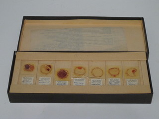 A collection of various slides marked M.W. & CI Hospital Opth. Institute, University of London