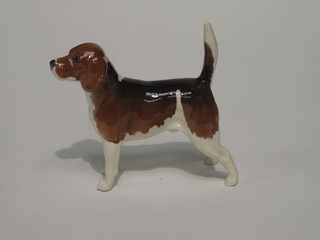 A Beswick figure - The Champion Beagle Wendover Billy 5"