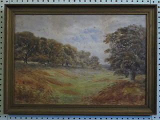 Watercolour drawing "Country Scene with Trees" 12" x 18"