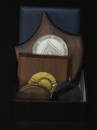 7 various medallions