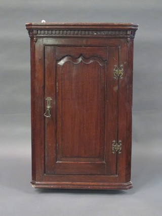 A 19th Century oak hanging corner cabinet with moulded and  dentil cornice, the interior fitted shelves enclosed by a panelled  door 24"