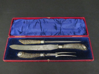 A 3 piece stag horn handled carving set with steel, knife and  fork, cased