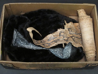 A lady's black fur coat and a snake skin