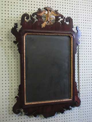A rectangular Chippendale style plate mirror contained in a mahogany frame surmounted by a figure of a bird 29"