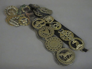 3 Martingales hung horse brasses and a collection of horse  brasses