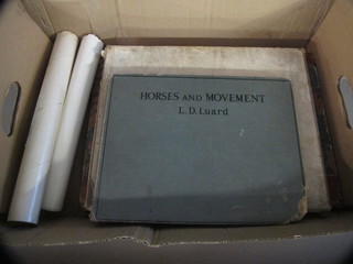 L D Luard, 1 volume "Horse and Movement" and 1 volume "The Illustrated London News" etc