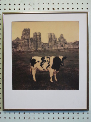Hans Hoefer Photoworks, a coloured print "Black and White  Cow" 10" x 10"