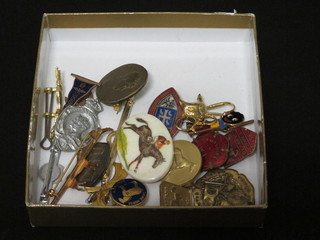 A collection of enamelled and other badges