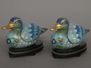 A pair of blue ground cloisonne enamelled trinket boxes in the form of birds 6"