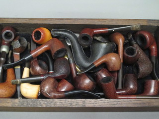 A collection of various pipes contained in a hinged wooden and glazed display cabinet