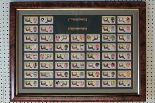 A framed set of 50 Ogden's cigarette cards - Race Horses of  1933 14" x 21"