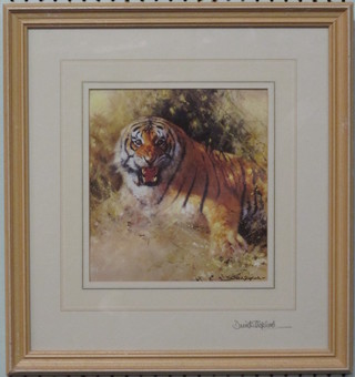 David Shepherd, a coloured print, "Tiger" signed in the margin and to the reverse 9" x 9"