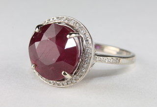 A 14ct white gold dress ring set a circular cut ruby surrounded by numerous diamonds