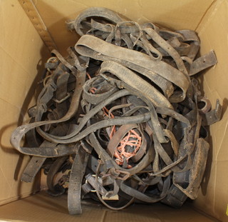 A quantity of various horse tack, head collars, harness etc