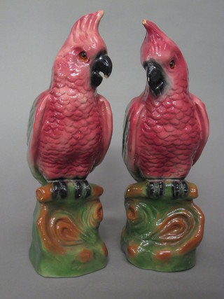 A pair of pottery figures of seated parrots 13", chips to beaks,